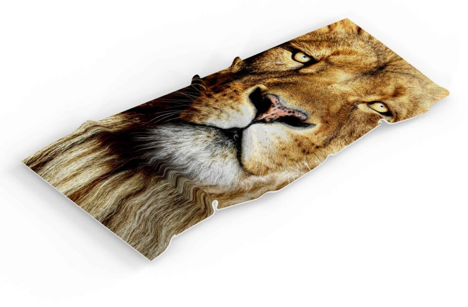 Aslan Desenli Plaj Havlusu 70x140cm
